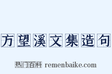 方望溪文集造句是什么意思的图片